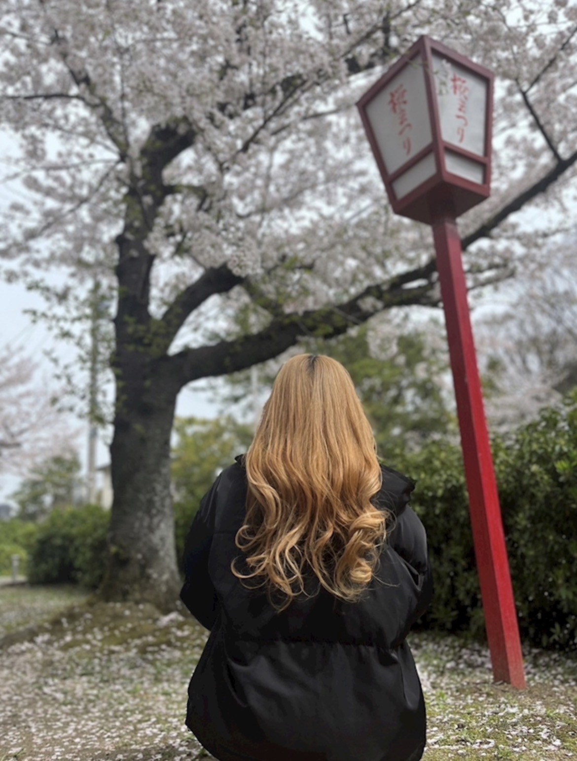 のぞみのプロフィール写真